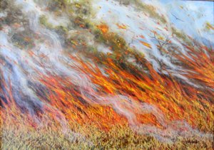 Inferno de feu de brousse, 2014 - Tilly Willis